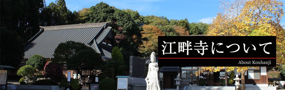 江畔寺の沿革と概要