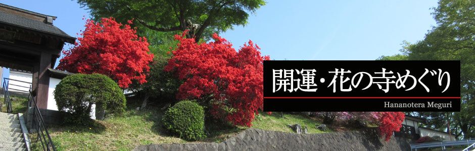 開運・花の寺めぐり